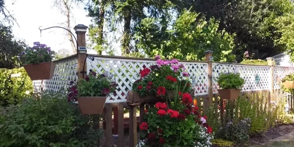 Northwest Integrated Health - North Tacoma