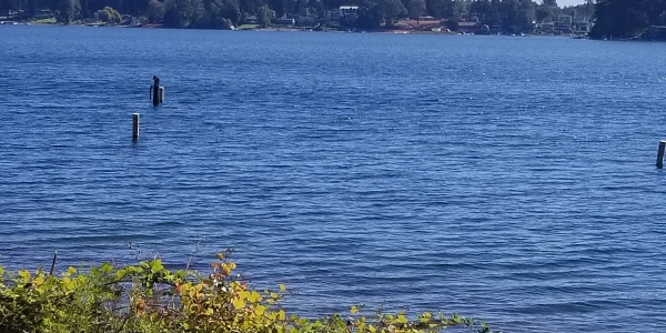 VA Puget Sound Healthcare System - American Lake Division